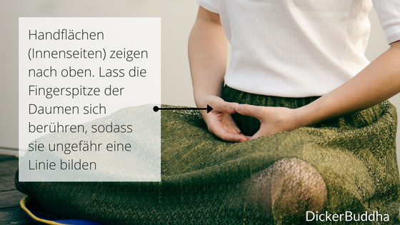 Zen Meditation Handhaltung Zen Meditation Handhaltung