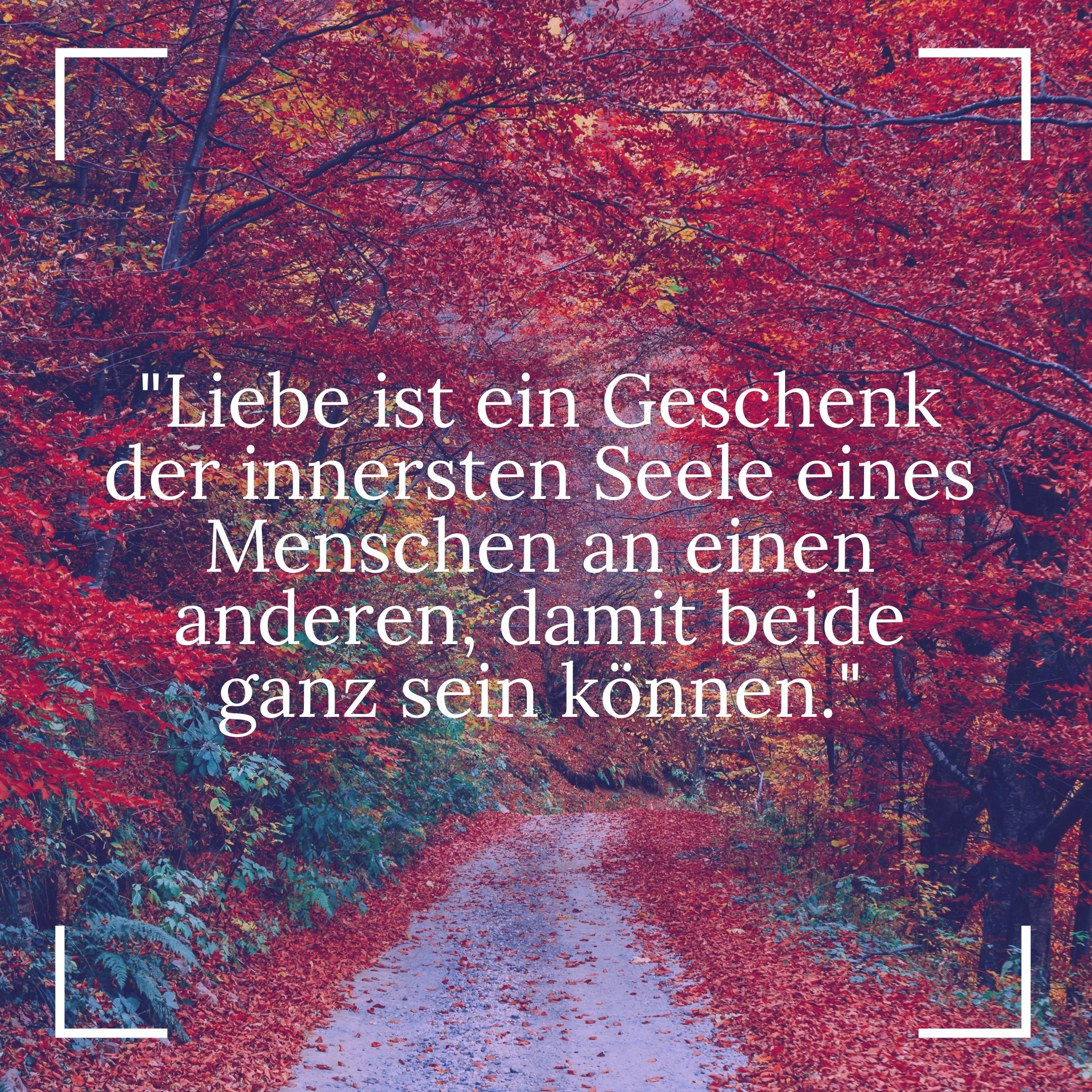 Buddhistische Weisheiten - Liebe ist ein Geschenk