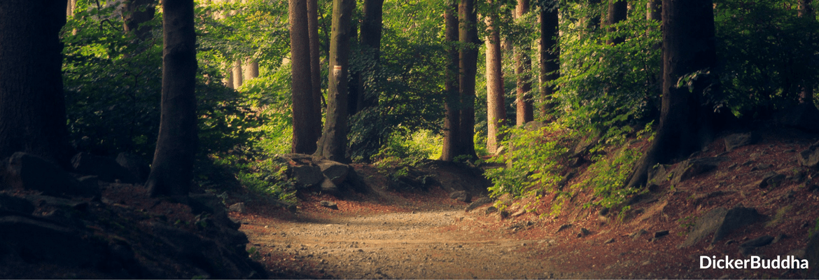 Vipassana Meditation