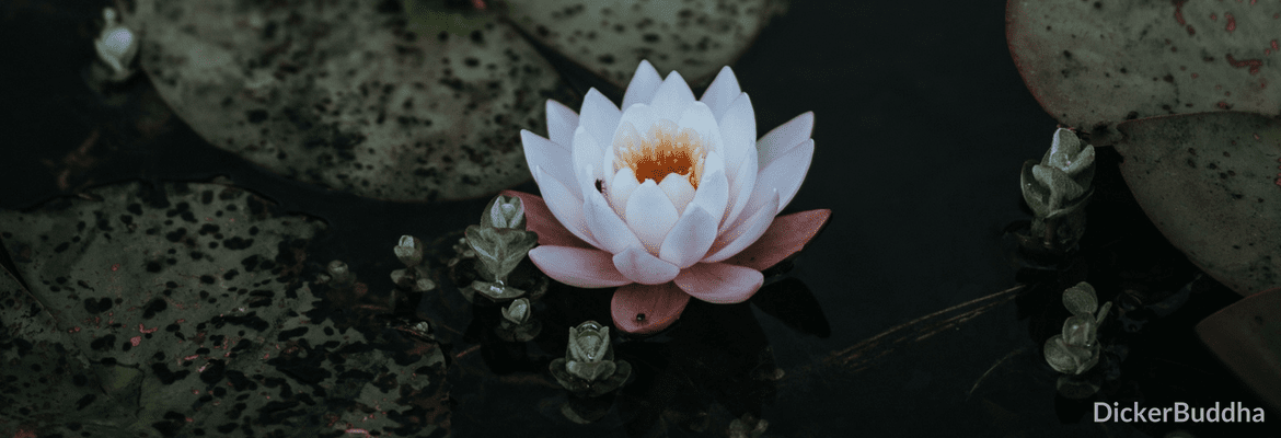 Mantra Meditation Anleitung