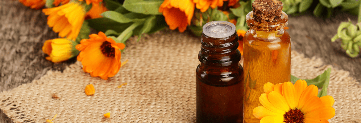 Ringelblumenöl Calendulaöl Fläschchen und Blüten der Ringelblume