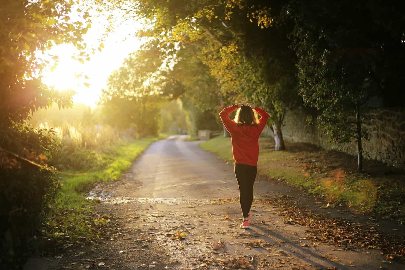 Frau in Sportkleidung macht Morgenroutine Sport in der Natur bei Sonnenaufgang
