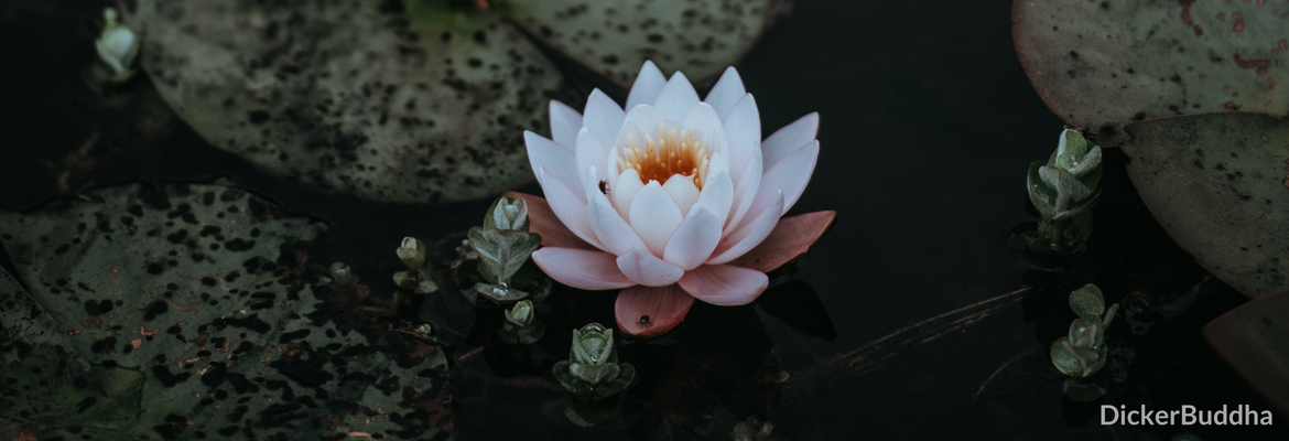 Mantra Meditation Anleitung Zum Meditieren Mit Mantras