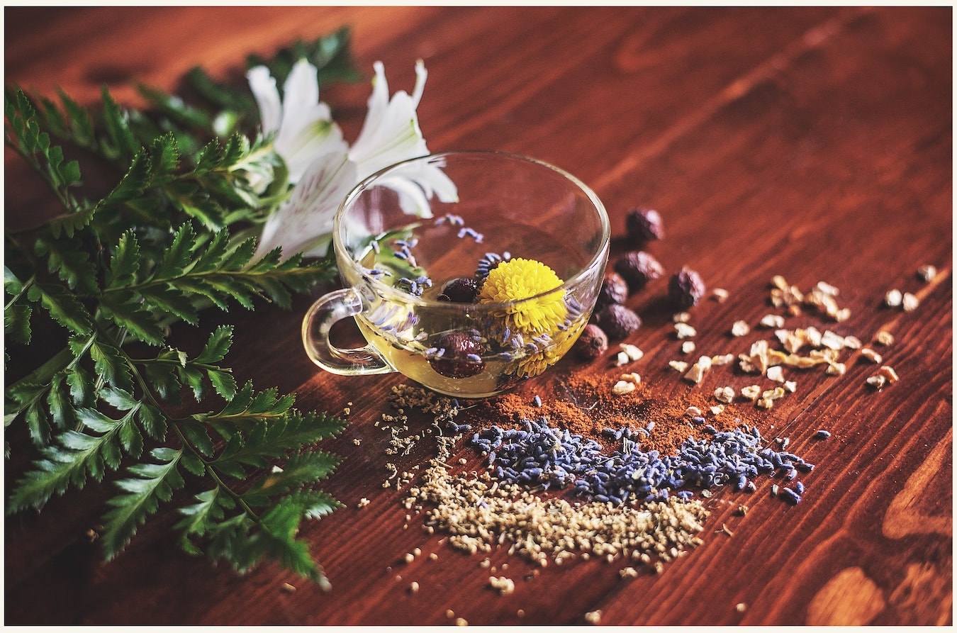 Kräuter Kräuter in einer Teetasse Pflanzen aromatische Pflanzen und Blüten