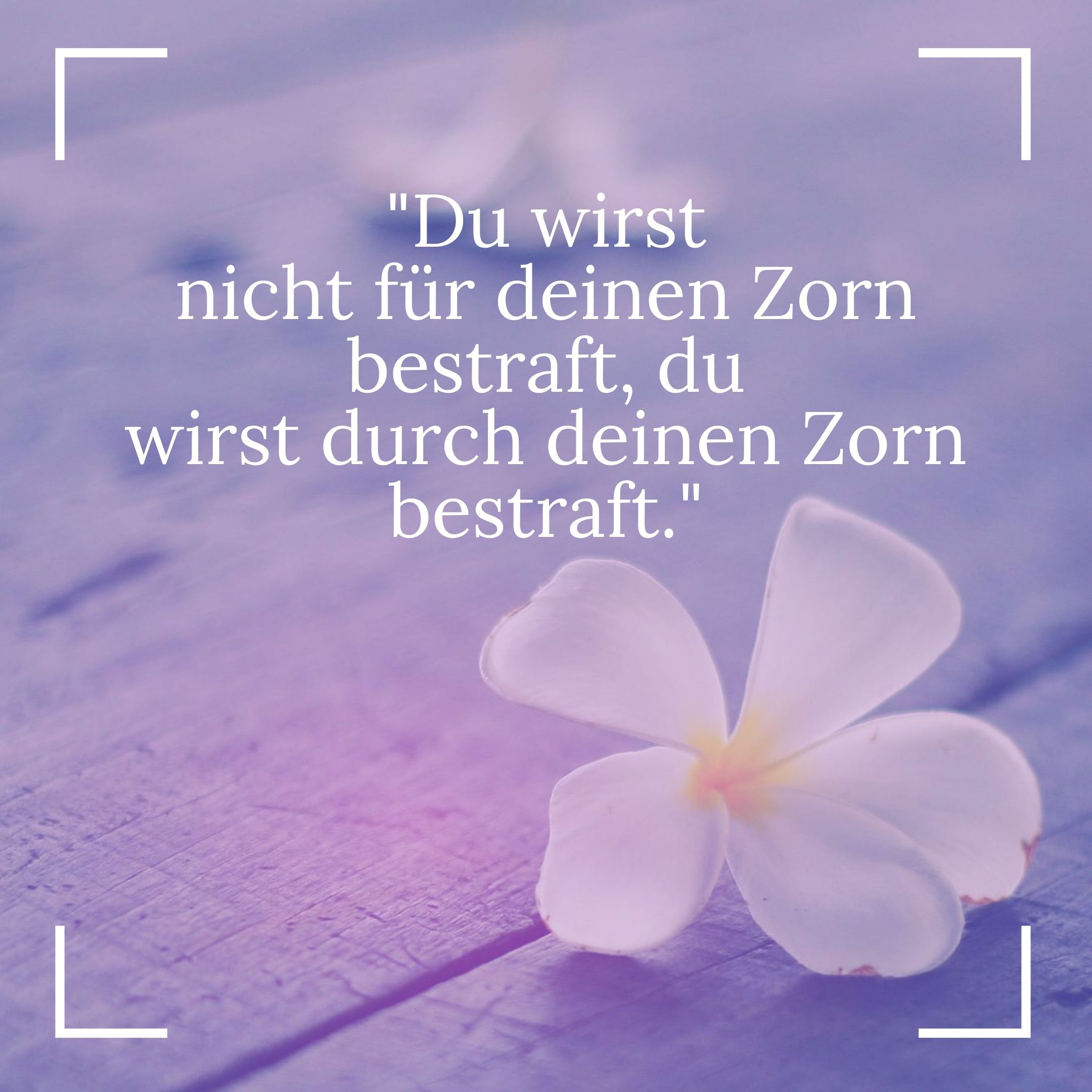 Buddhistische Weisheiten Philosophie Und Inspiration Fur Dein Leben Dickerbuddha