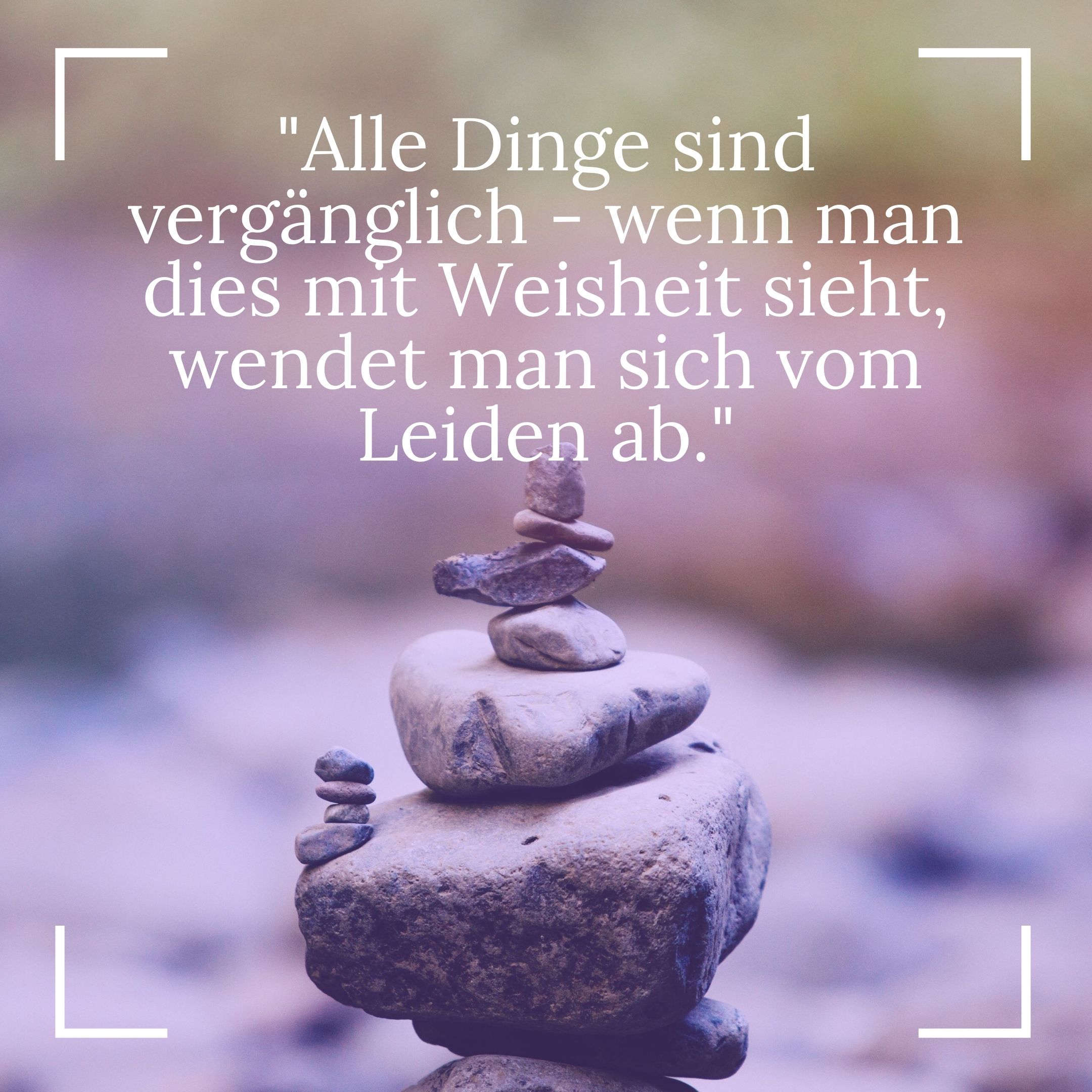 Buddhistische Weisheiten Philosophie Und Inspiration Fur Dein Leben Dickerbuddha